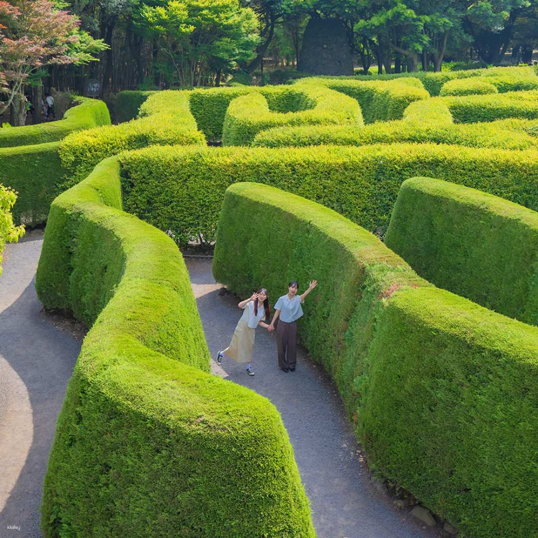 Navigate the world's longest stone labyrinth while exploring three themed mazes inspired by Jeju Island surrounded by lush gardens and iconic K-drama filming locations.